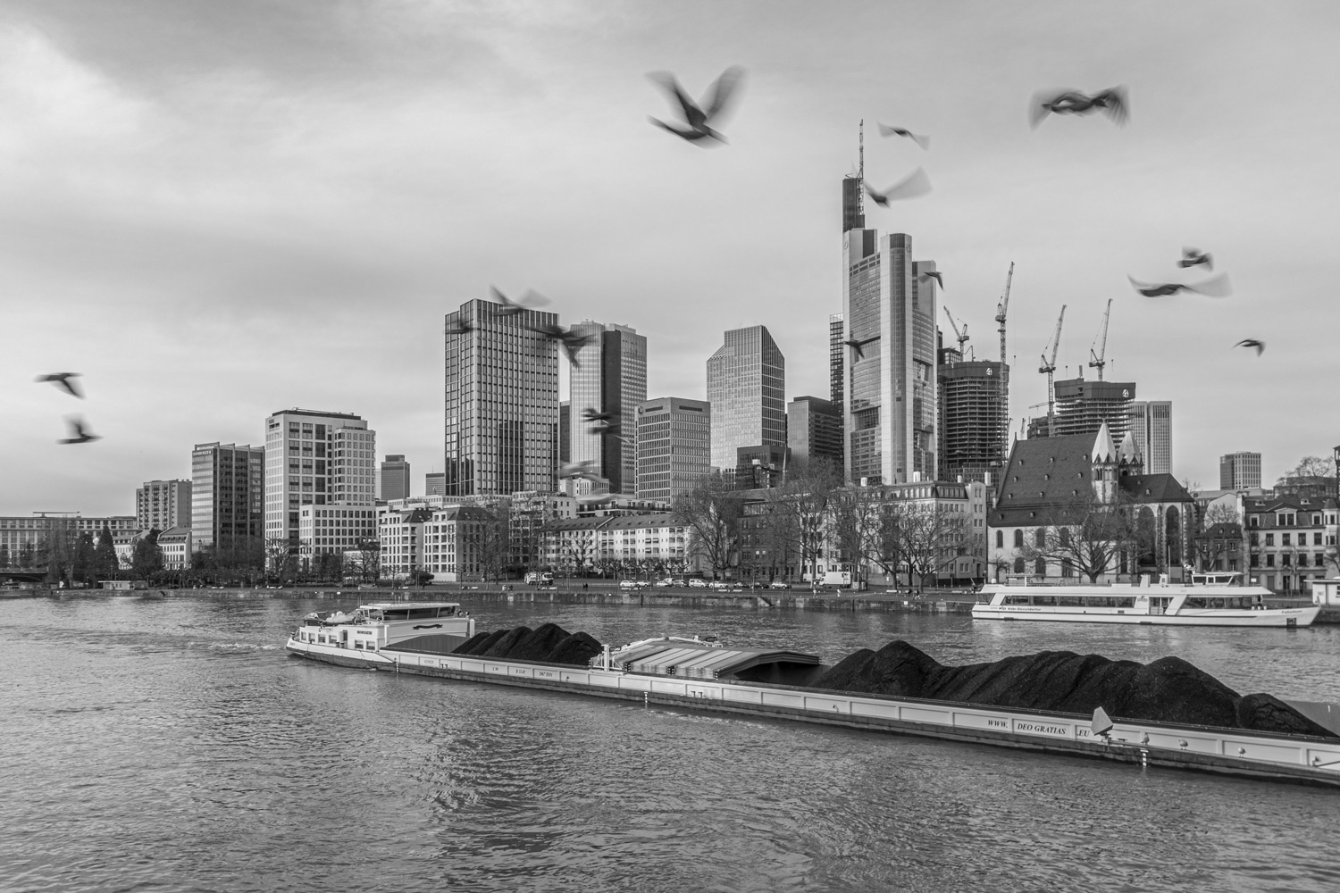 kohleschiff auf dem main vor dem bankenviertel in frankfurt