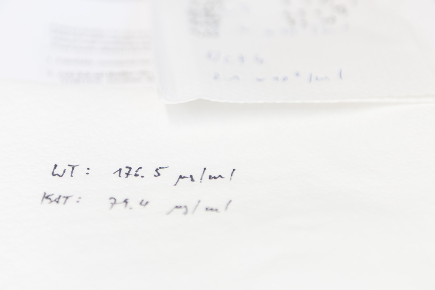 Notizen auf einem Stück Papier